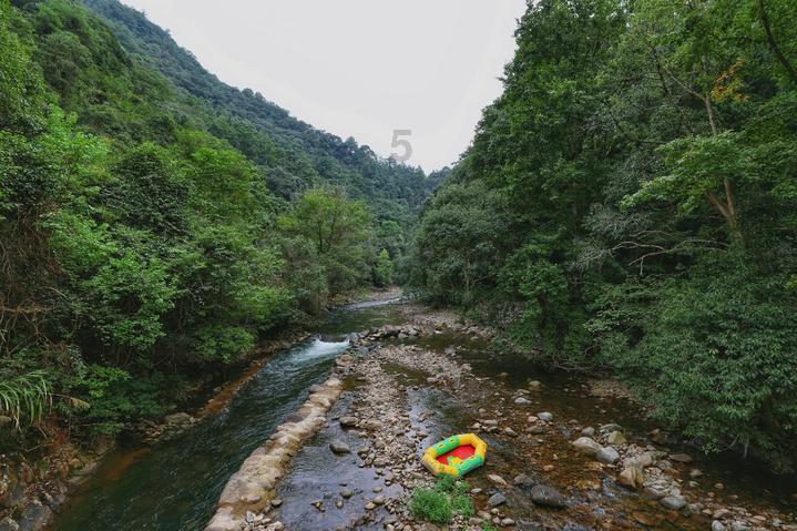首播收视第三,央视又证明了自己的眼光,这次换抗战传奇剧火了