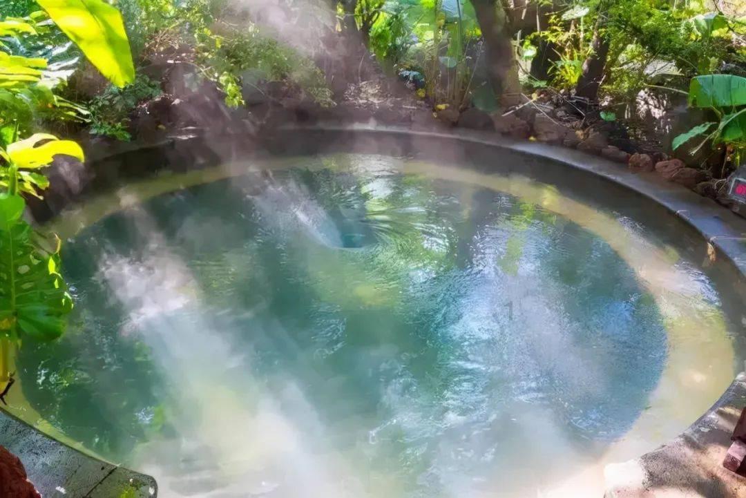 植物大战僵尸反击篇