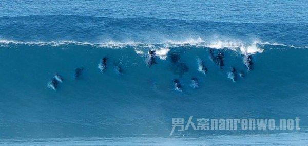 小猫钓鱼开船版最新版下载