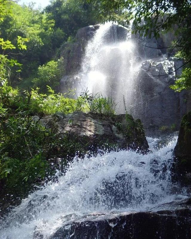 春雨直播app